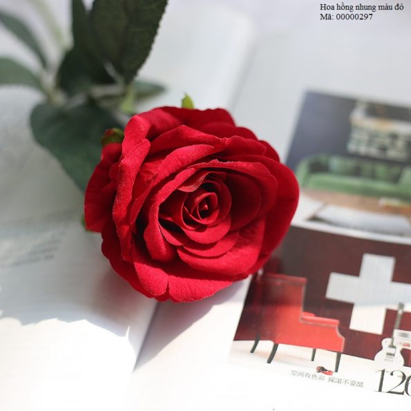 Cành hoa hồng nhung – hoa cao cấp màu đỏ đô