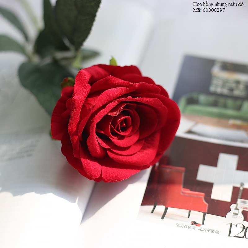 Cành hoa hồng nhung – hoa cao cấp màu hồng phấn nhẹ nhàng