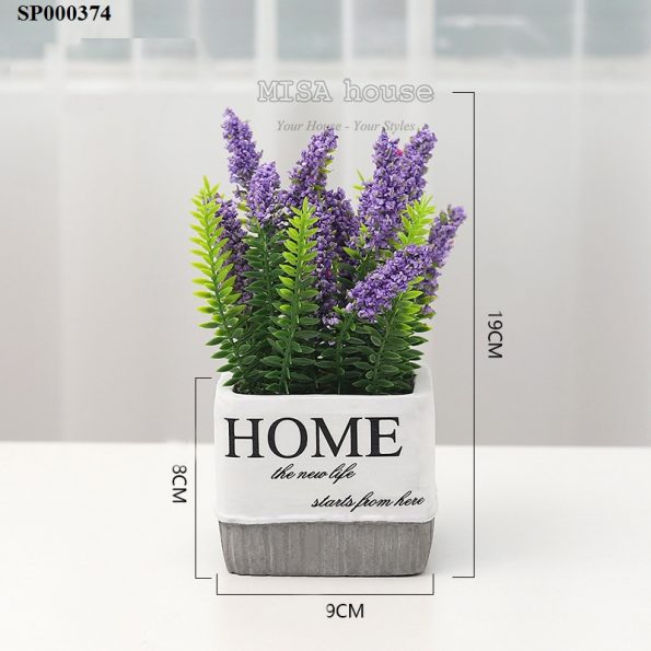 Chậu hoa Home lavender cắm sẵn màu tím