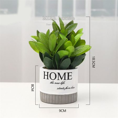 Chậu Home lá trà xanh