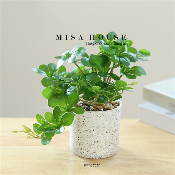 Chậu cây giả cây ngũ gia bì xanh trang trí - cây xanh giả để bàn decor tủ kệ đẹp giá rẻ Chậu cây giả cây ngũ gia bì xanh trang trí - cây xanh giả để bàn decor tủ kệ đẹp giá rẻ