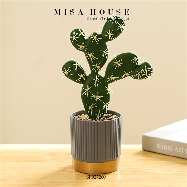 Chậu cây xương rồng giả tai thỏ chậu nhựa giống thật decor trang trí Chậu cây xương rồng giả tai thỏ chậu nhựa giống thật decor trang trí