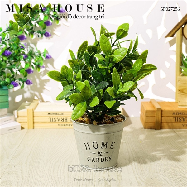 Chậu cây giả cây trà xanh kiểng decor trang trí phòng khách phòng ngủ giá rẻ Chậu cây giả cây trà xanh kiểng decor trang trí phòng khách phòng ngủ giá rẻ