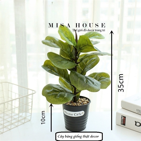 Chậu thiếc cây bàng giả giống thật trang trí - cây xanh giả để bàn decor tủ kệ