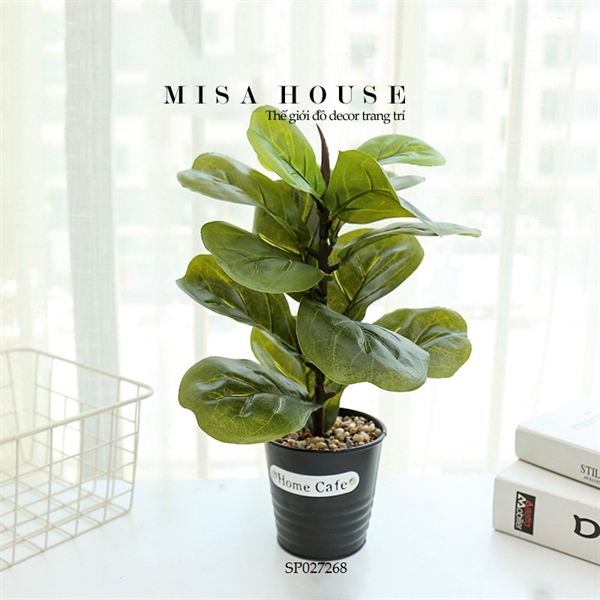 Chậu cây giả decor cây bàng giống thật trang trí – cây xanh giả để bàn decor tủ kệ