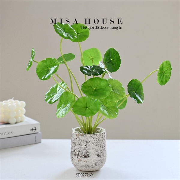 Chậu cây rau má giống thật trang trí - cây xanh giả để bàn decor tủ kệ Chậu cây rau má giống thật trang trí - cây xanh giả để bàn decor tủ kệ