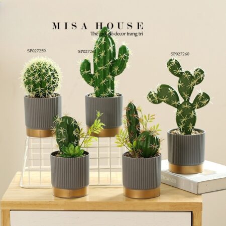Chậu cây xương rồng giả giống thật decor trang trí