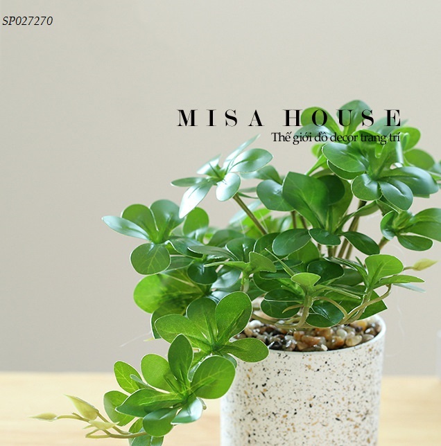 Chậu cây giả cây ngũ gia bì xanh trang trí – cây xanh giả để bàn decor tủ kệ đẹp giá rẻ