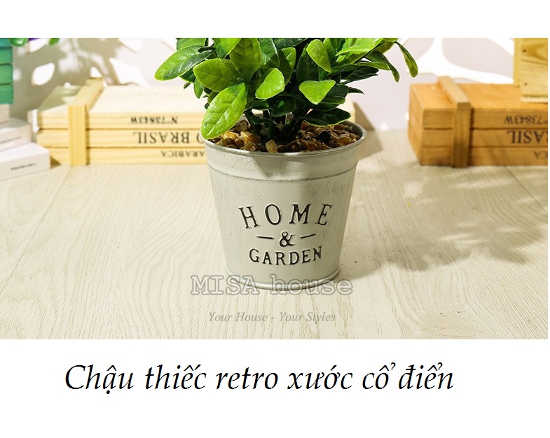 Cận cảnh chậu thiếc retro phong cách vintage cổ điển Home Garden Cận cảnh chậu thiếc retro phong cách vintage cổ điển Home Garden