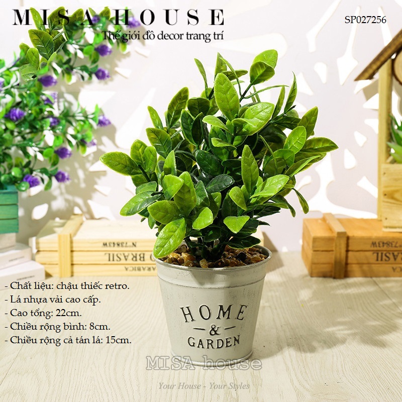 Chậu cây giả cây trà xanh kiểng decor trang trí phòng khách phòng ngủ giá rẻ Chậu cây giả cây trà xanh kiểng decor trang trí phòng khách phòng ngủ giá rẻ