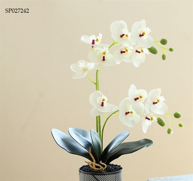Bình hoa cắm sẵn hoa lan hồ điệp 2 nhánh trắng chậu nhựa hoa giống thật!!2200735397210-0-cib